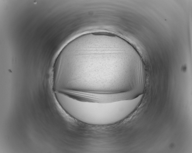 X0000097651524200803211844