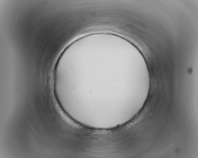 X0000097651526200803211844