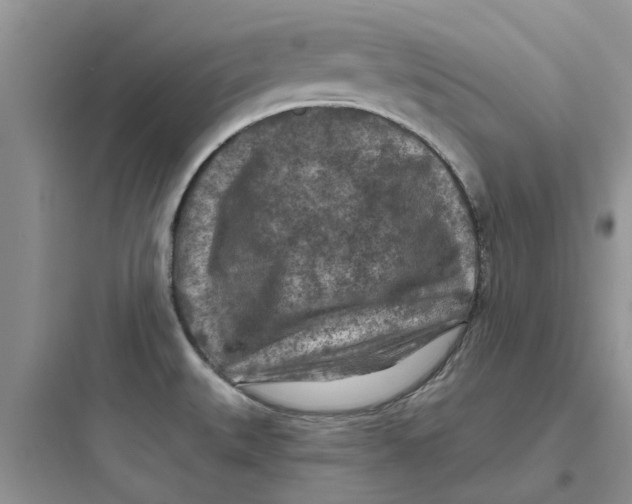 X0000097651527200803211844