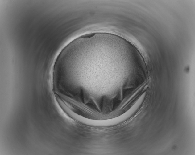 X0000097651528200803211844