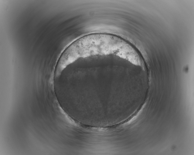 X0000097651529200803211844