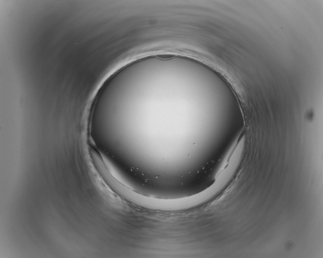 X0000097651530200803211844