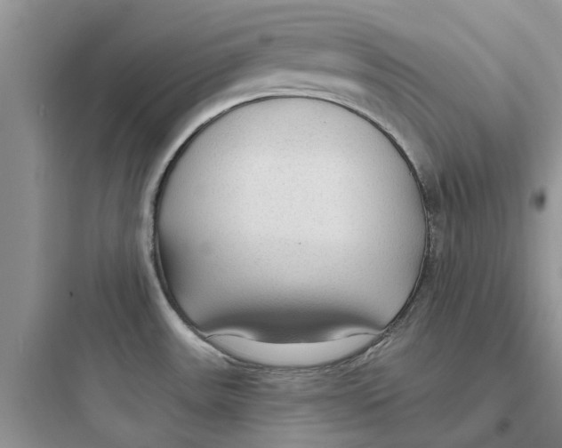 X0000097651531200803211844