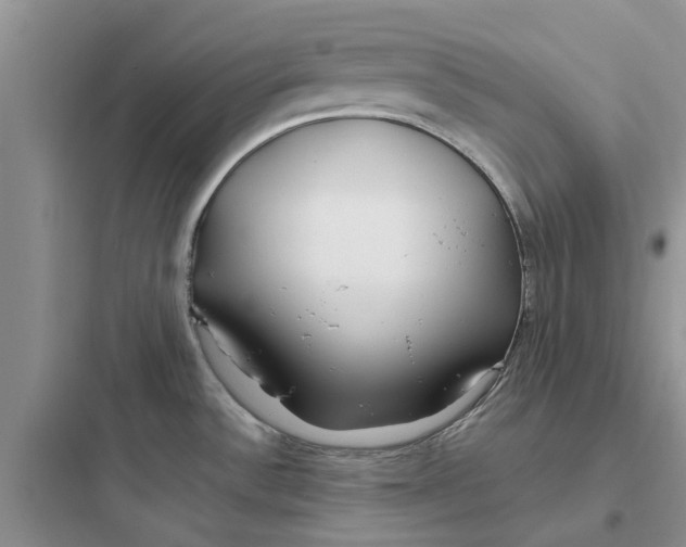 X0000097651532200803211844