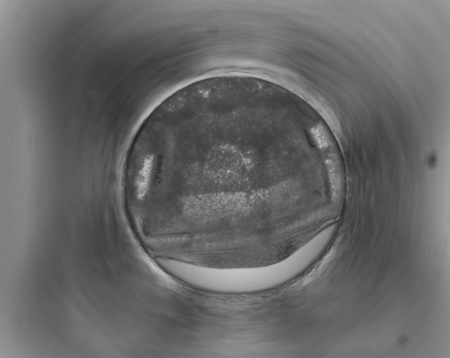 X0000097651533200803211844