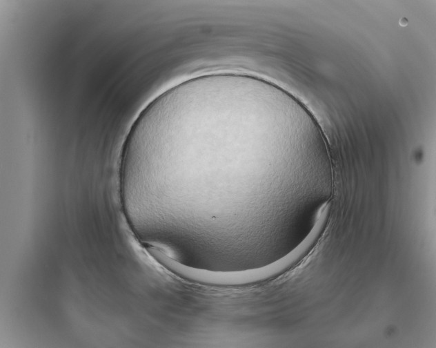 X0000097651534200803211844