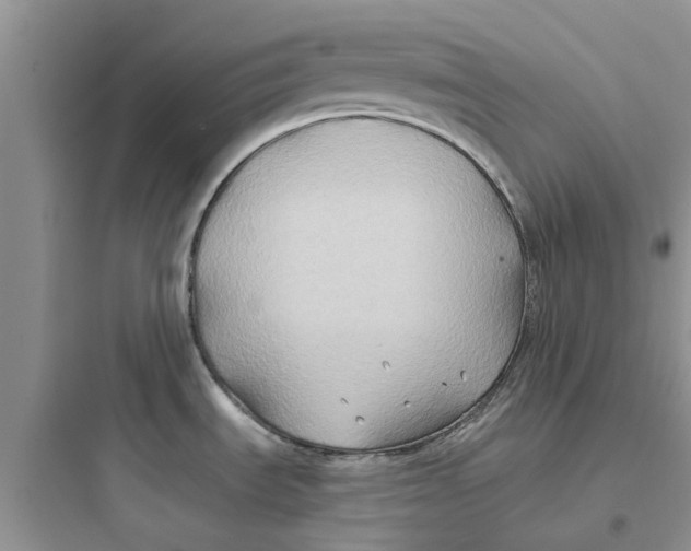 X0000097651535200803211844