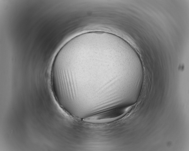 X0000097651536200803211844