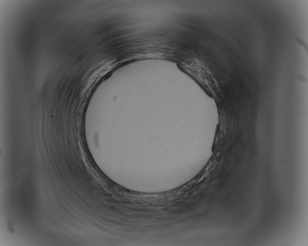 X0000097650001200803280939