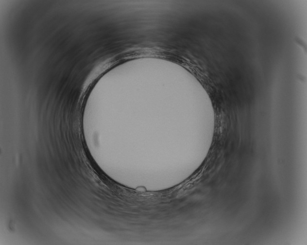 X0000097650004200803280939