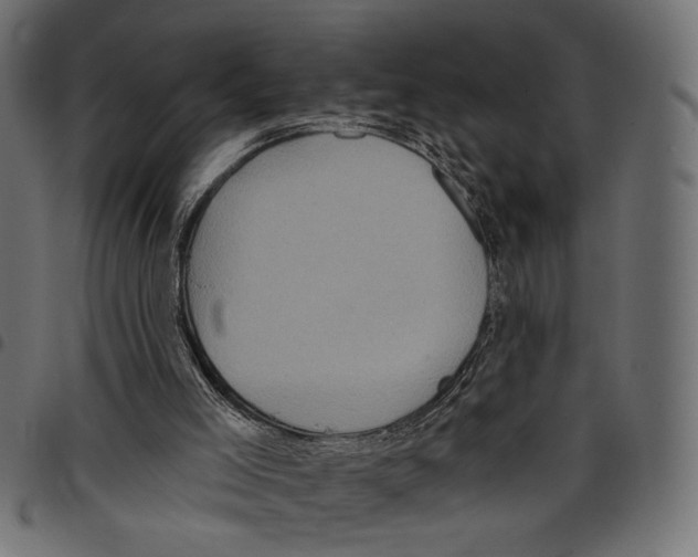 X0000097650005200803280939