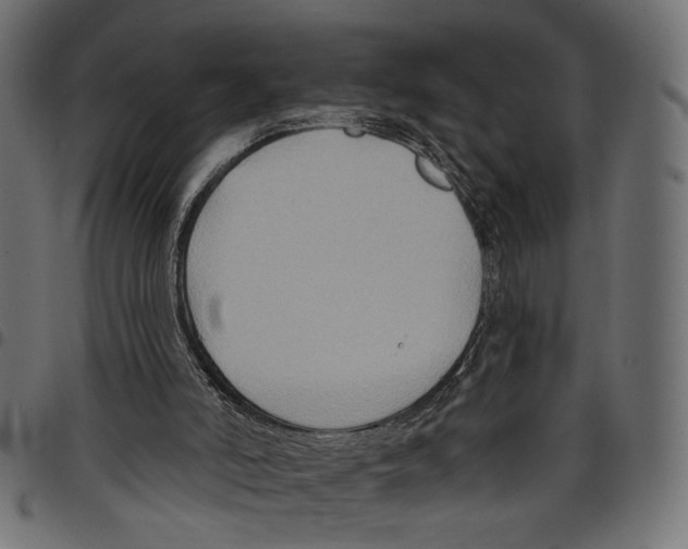 X0000097650006200803280939