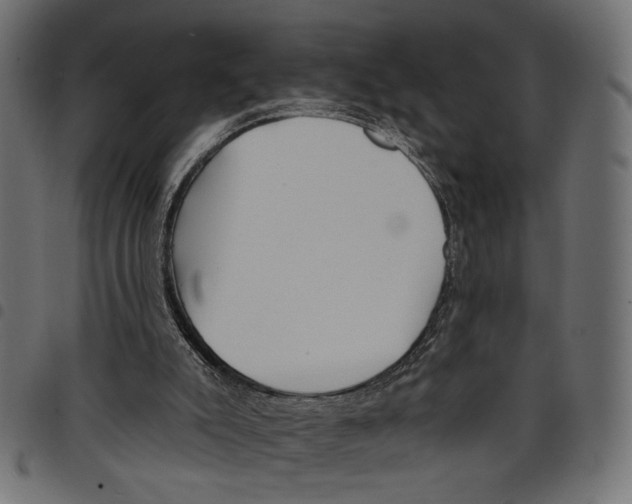 X0000097650007200803280939