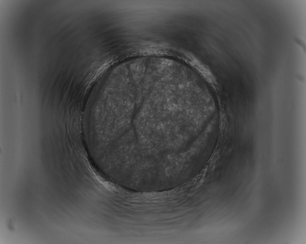 X0000097650009200803280939