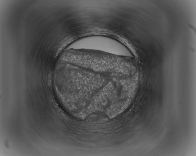 X0000097650010200803280939