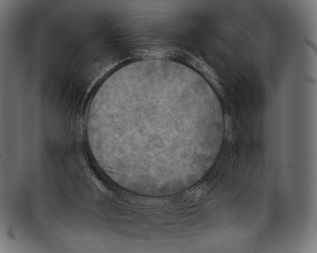 X0000097650012200803280939