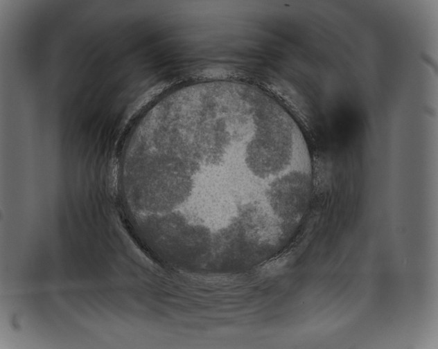 X0000097650016200803280939