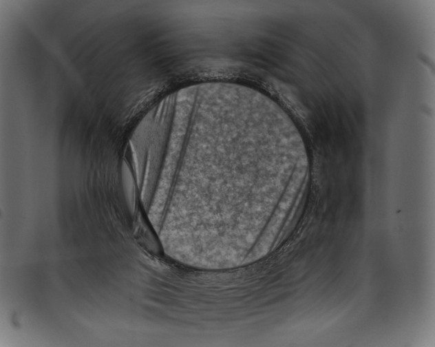 X0000097650017200803280939