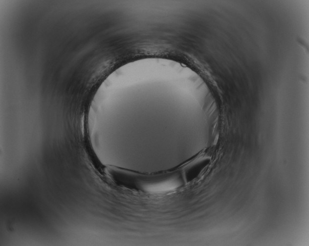 X0000097650019200803280939