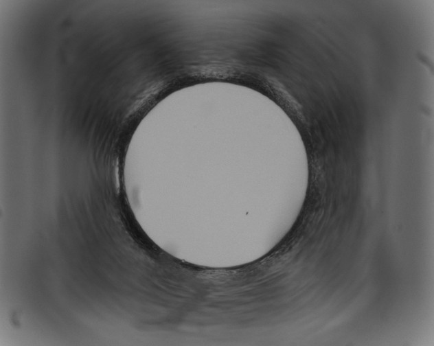 X0000097650020200803280939