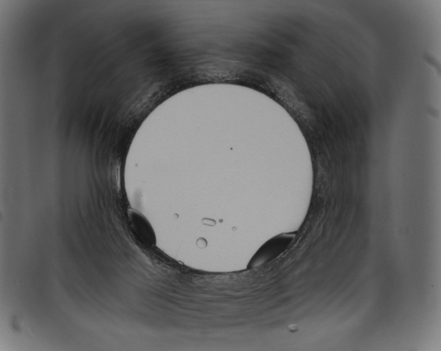 X0000097650021200803280939