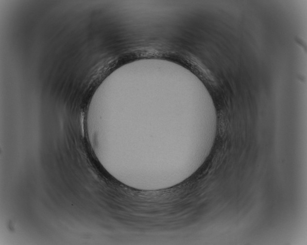 X0000097650022200803280939