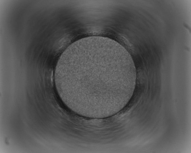 X0000097650024200803280939