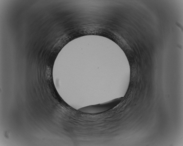 X0000097650025200803280939