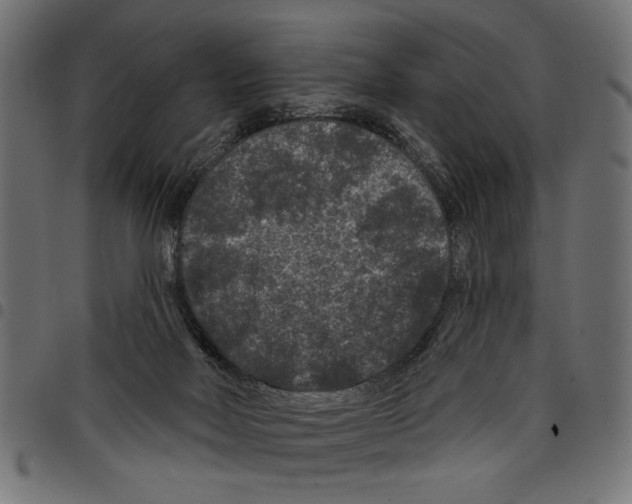 X0000097650026200803280939