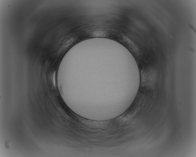 X0000097650028200803280939