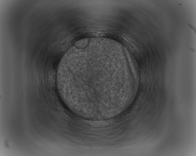 X0000097650030200803280939