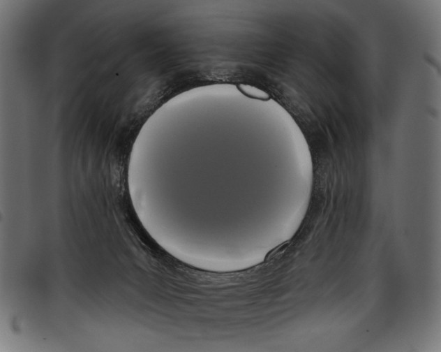 X0000097650031200803280939