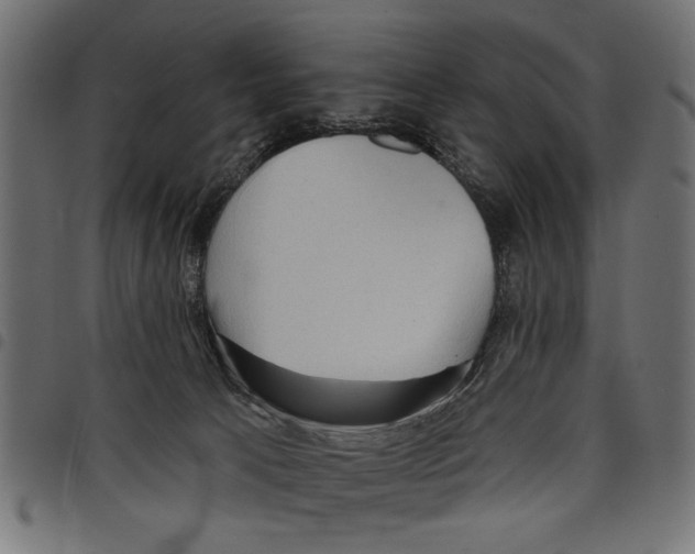 X0000097650033200803280939