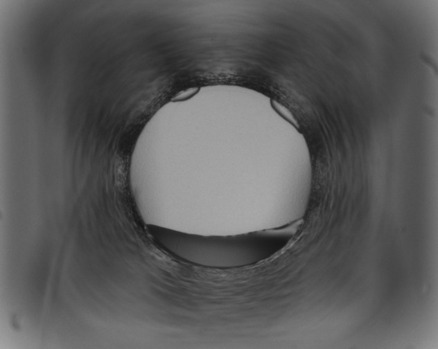 X0000097650037200803280939