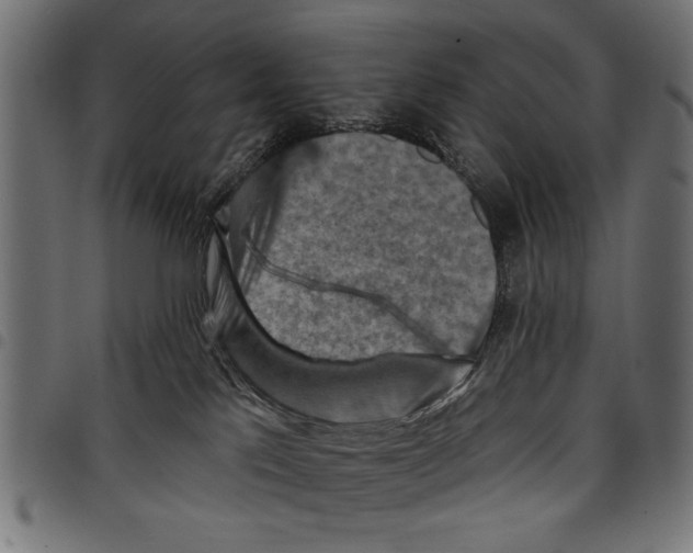 X0000097650041200803280939