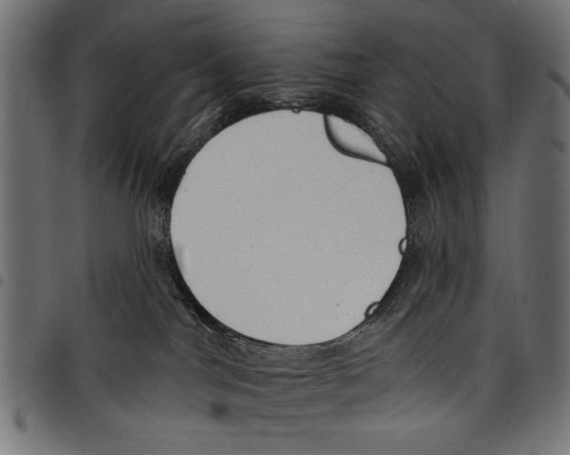 X0000097650044200803280939