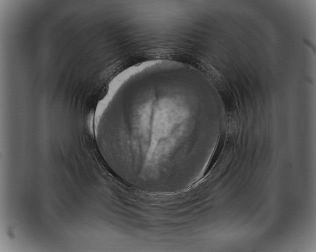 X0000097650047200803280939