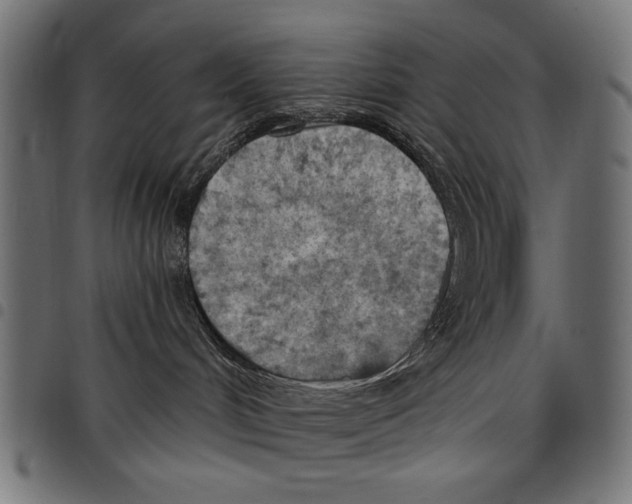 X0000097650048200803280939