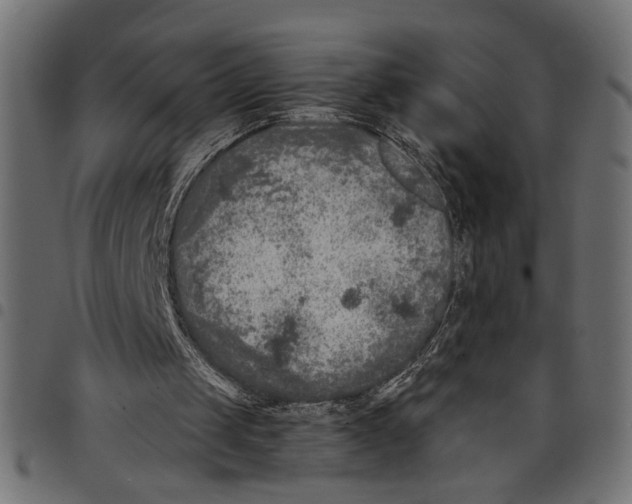 X0000097650049200803280938