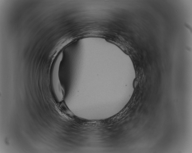 X0000097650050200803280938