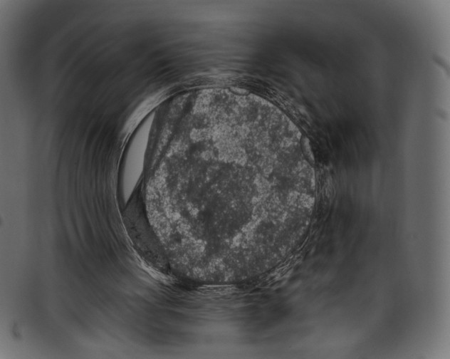 X0000097650051200803280938