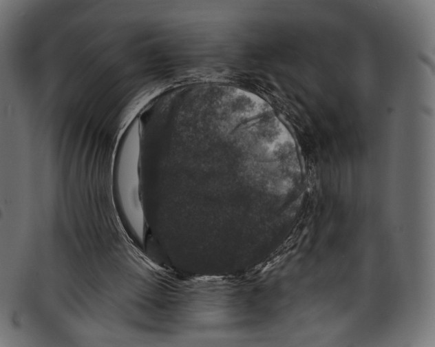 X0000097650052200803280938