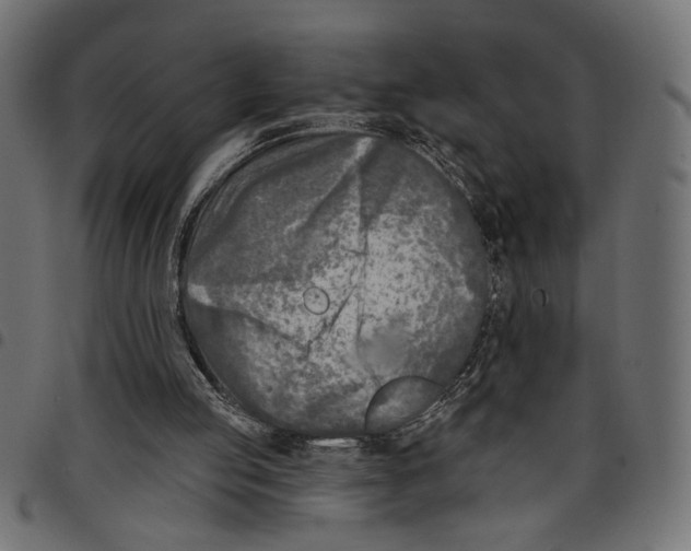 X0000097650053200803280938