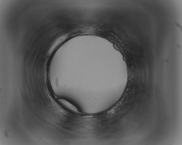 X0000097650054200803280938