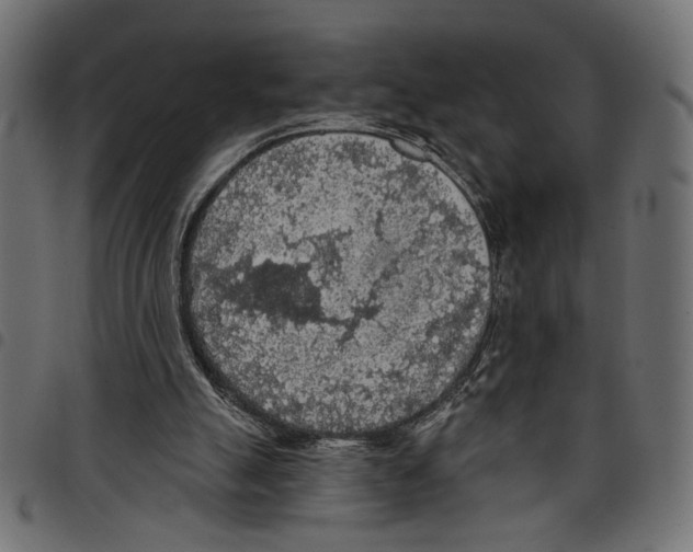 X0000097650055200803280938