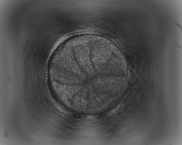 X0000097650056200803280938