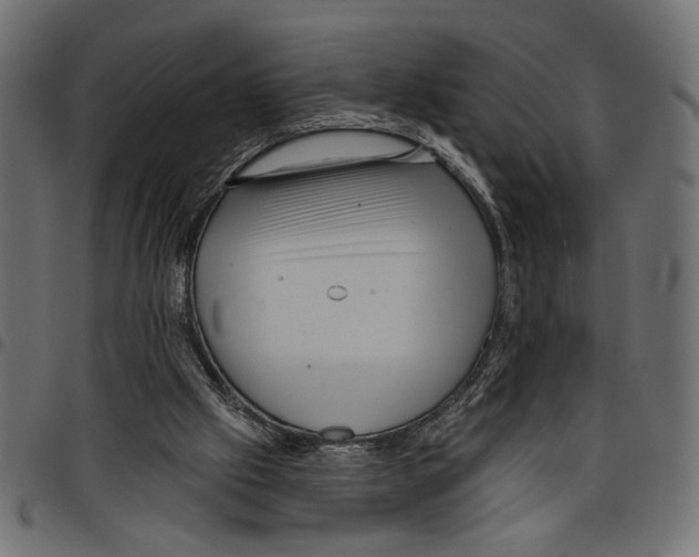 X0000097650057200803280938