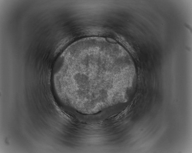 X0000097650058200803280938