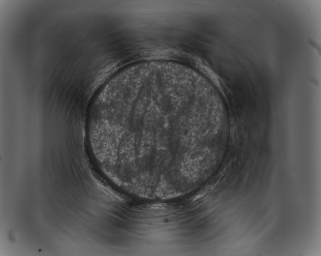 X0000097650059200803280938