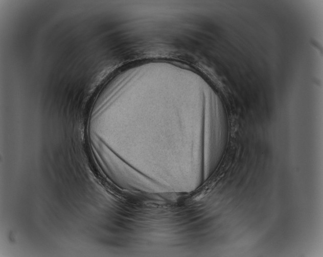 X0000097650060200803280938